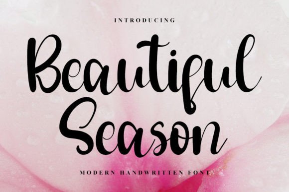 Beautiful Season Font for Creative Campaigns