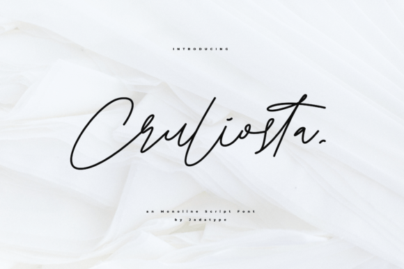 Cruliosta: A Dainty Script Font for Modern Branding