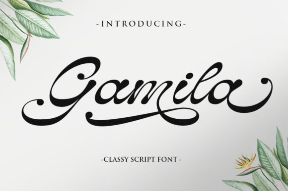 Gamila: A Modern Script Font for Creative Projects