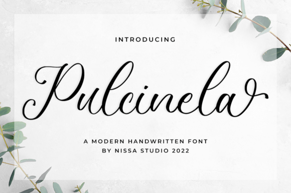 Pulcinela: A Elegant Handwritten Font